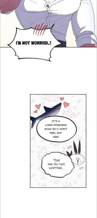 Shark And Bunny Bride [Zinchan] - Chapter 20 manhwa