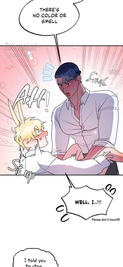 Shark And Bunny Bride [Zinchan] - Chapter 24 manhwa