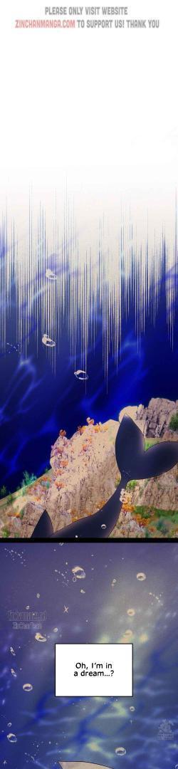 Shark And Bunny Bride [Zinchan] - Chapter 26 manhwa