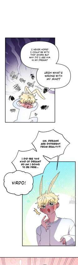 Shark And Bunny Bride [Zinchan] - Chapter 26 manhwa