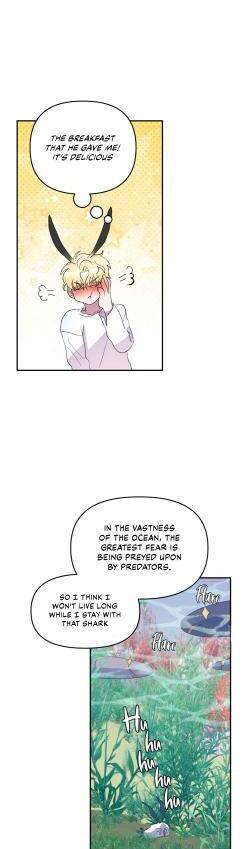 Shark And Bunny Bride [Zinchan] - Chapter 26 manhwa