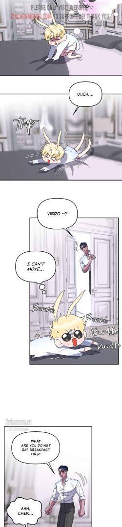 Shark And Bunny Bride [Zinchan] - Chapter 26 manhwa