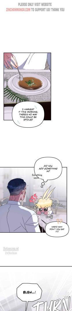 Shark And Bunny Bride [Zinchan] - Chapter 26 manhwa