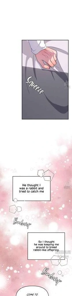 Shark And Bunny Bride [Zinchan] - Chapter 29 manhwa
