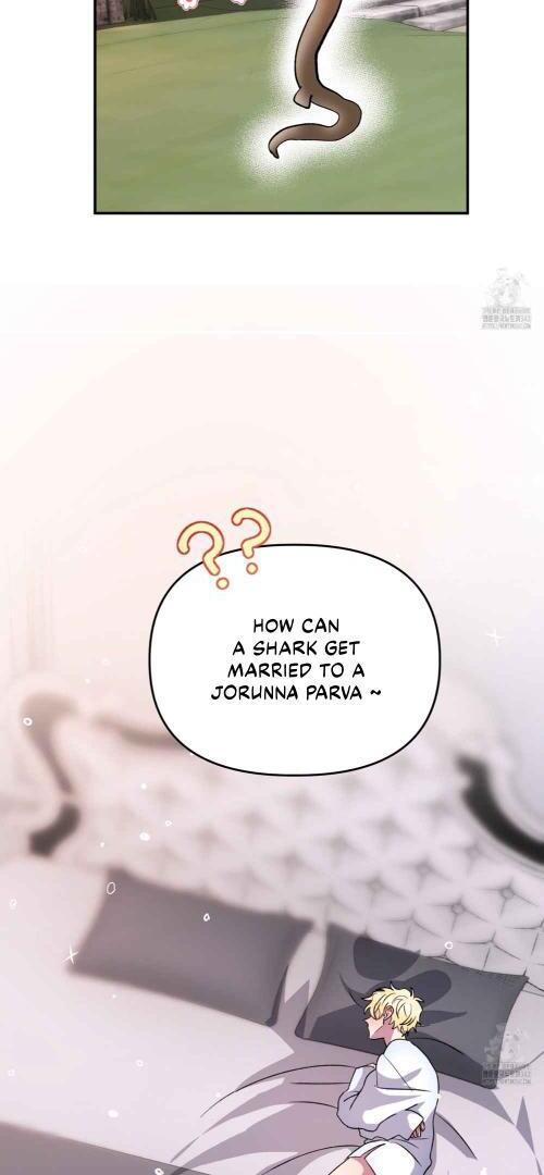 Shark And Bunny Bride [Zinchan] - Chapter 29 manhwa