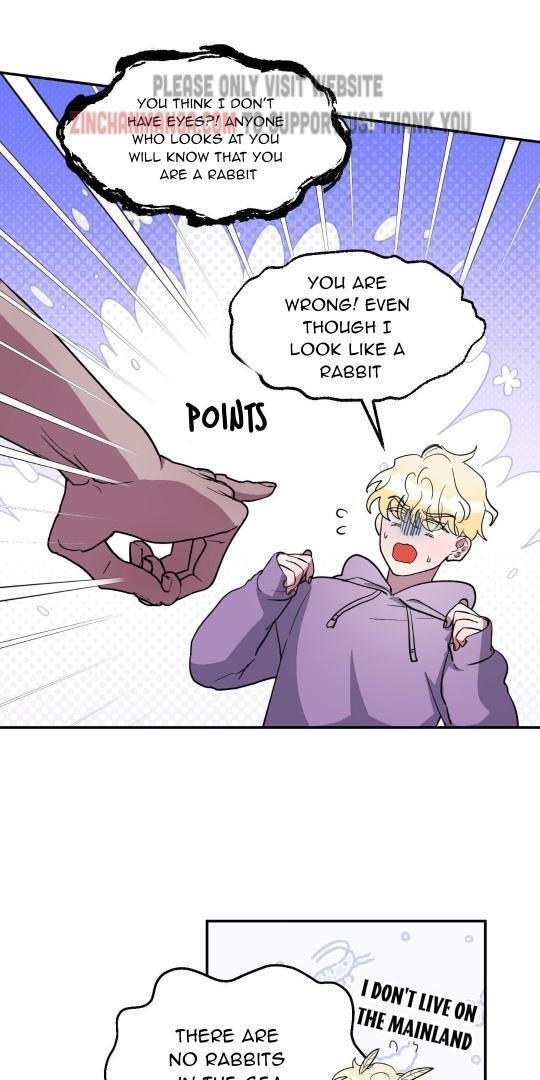 Shark And Bunny Bride [Zinchan] - Chapter 3 manhwa