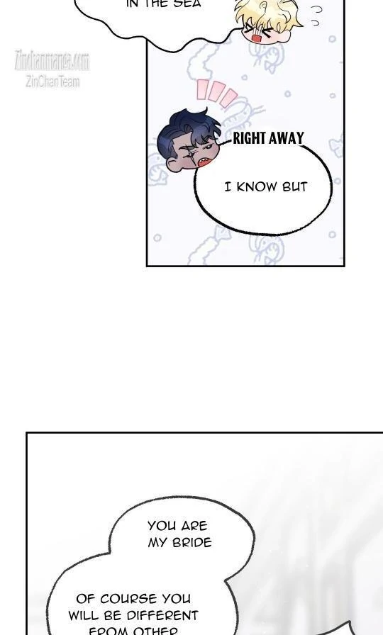 Shark And Bunny Bride [Zinchan] - Chapter 3 manhwa