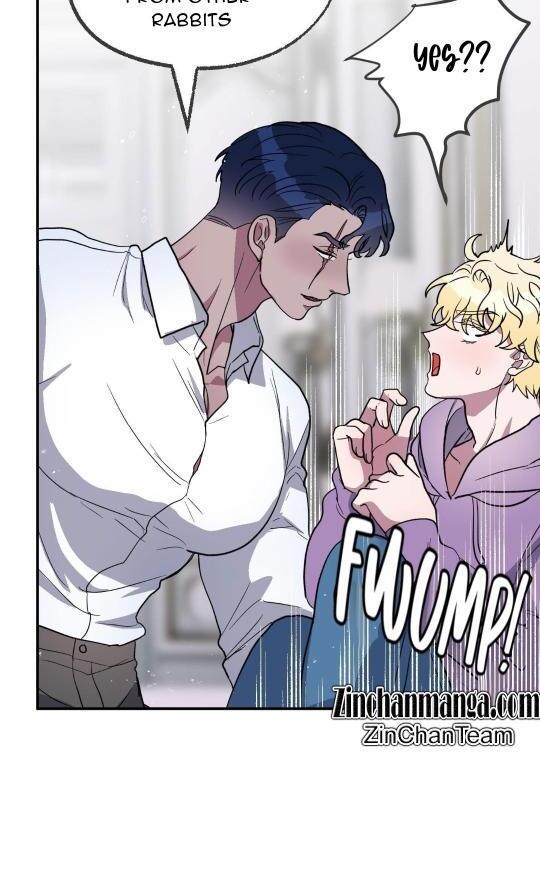Shark And Bunny Bride [Zinchan] - Chapter 3 manhwa