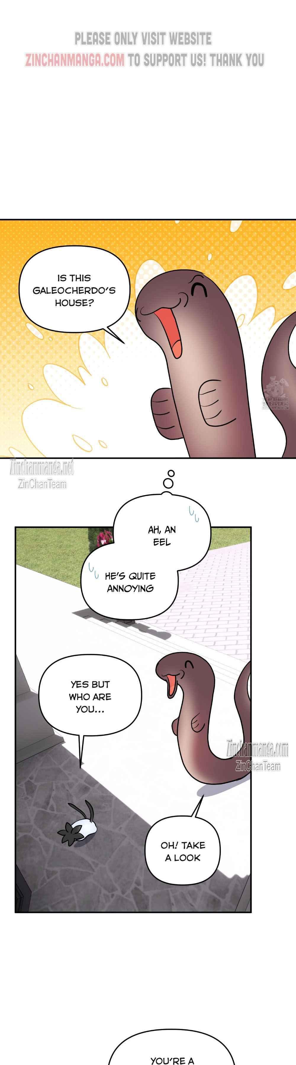 Shark And Bunny Bride [Zinchan] - Chapter 31 manhwa