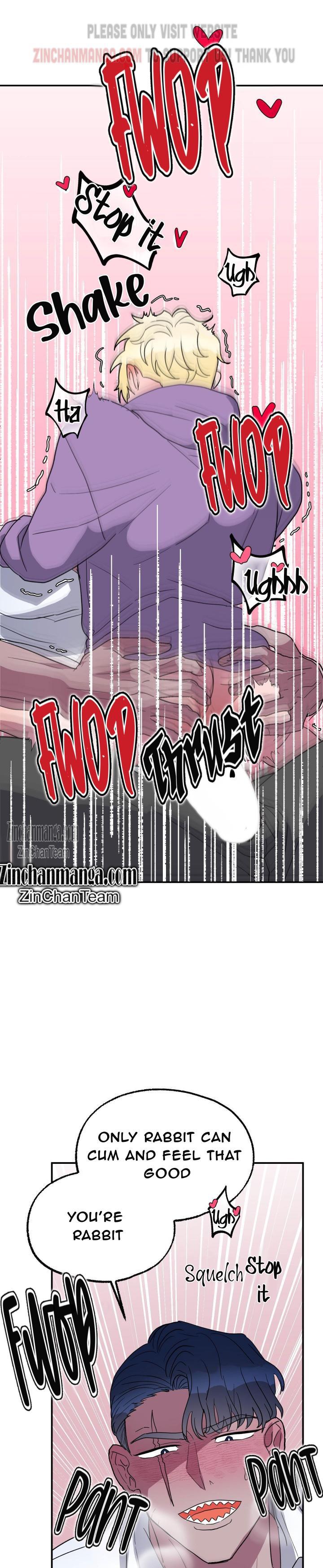 Shark And Bunny Bride [Zinchan] - Chapter 4.5 manhwa