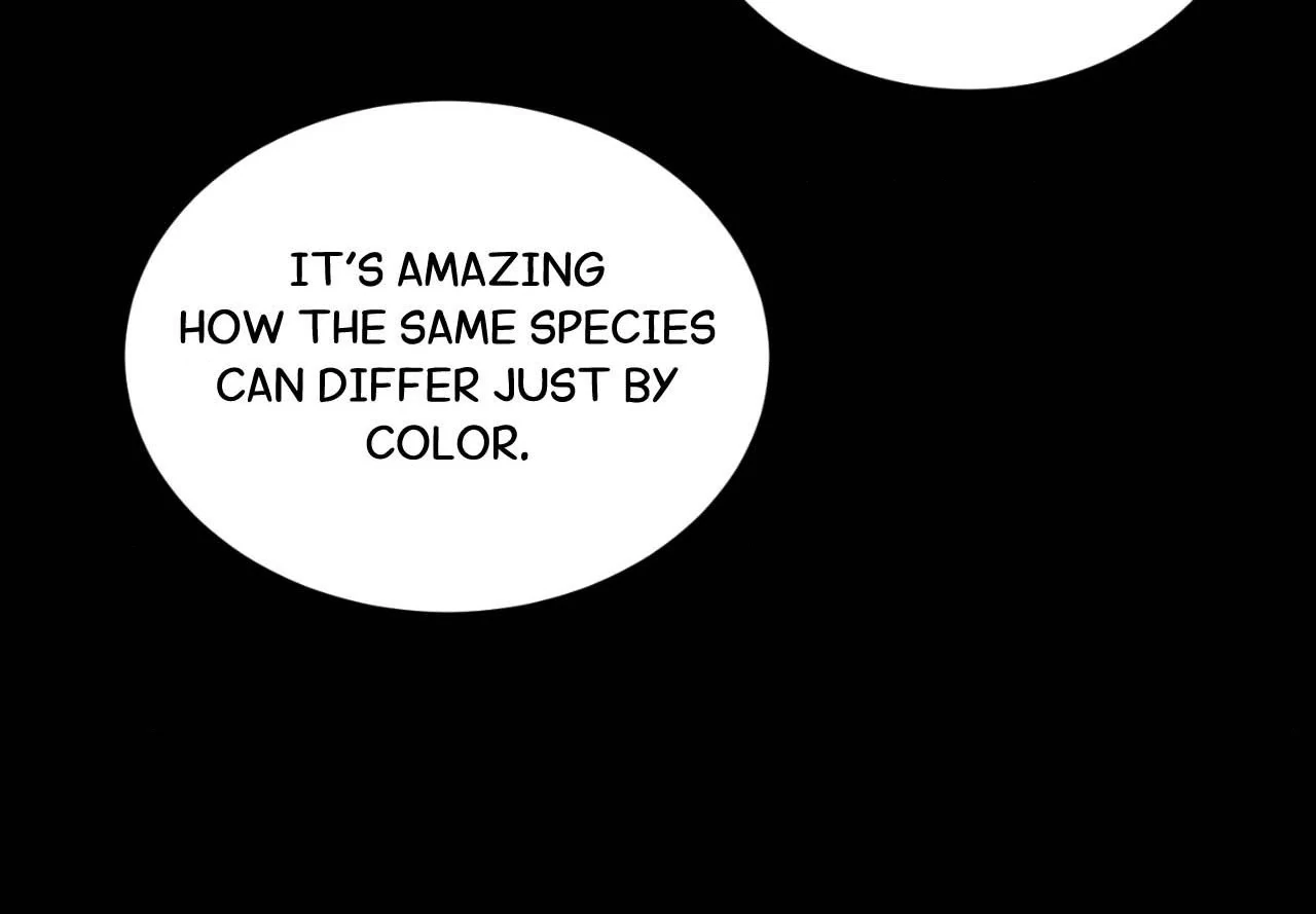 Nameless Flower (Official) - Chapter 3 manhwa