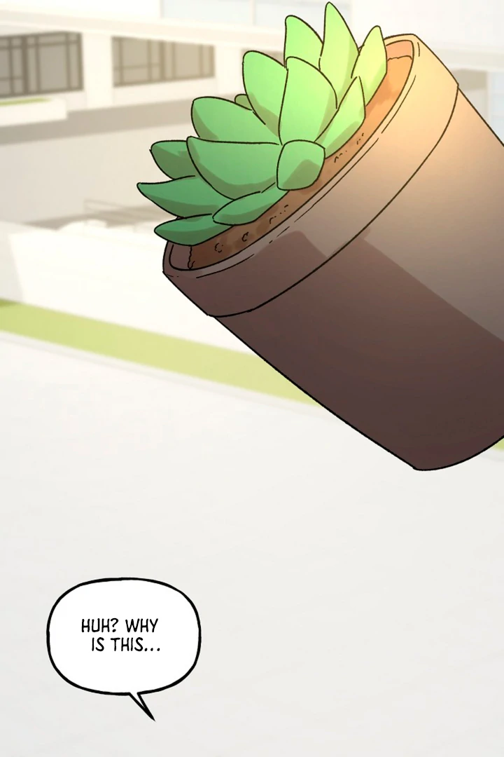 It’s a Tiger!  [Kaizen Scan] - Chapter 1 manhwa