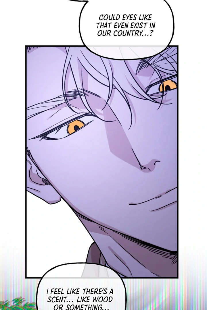 It’s a Tiger!  [Kaizen Scan] - Chapter 3 manhwa
