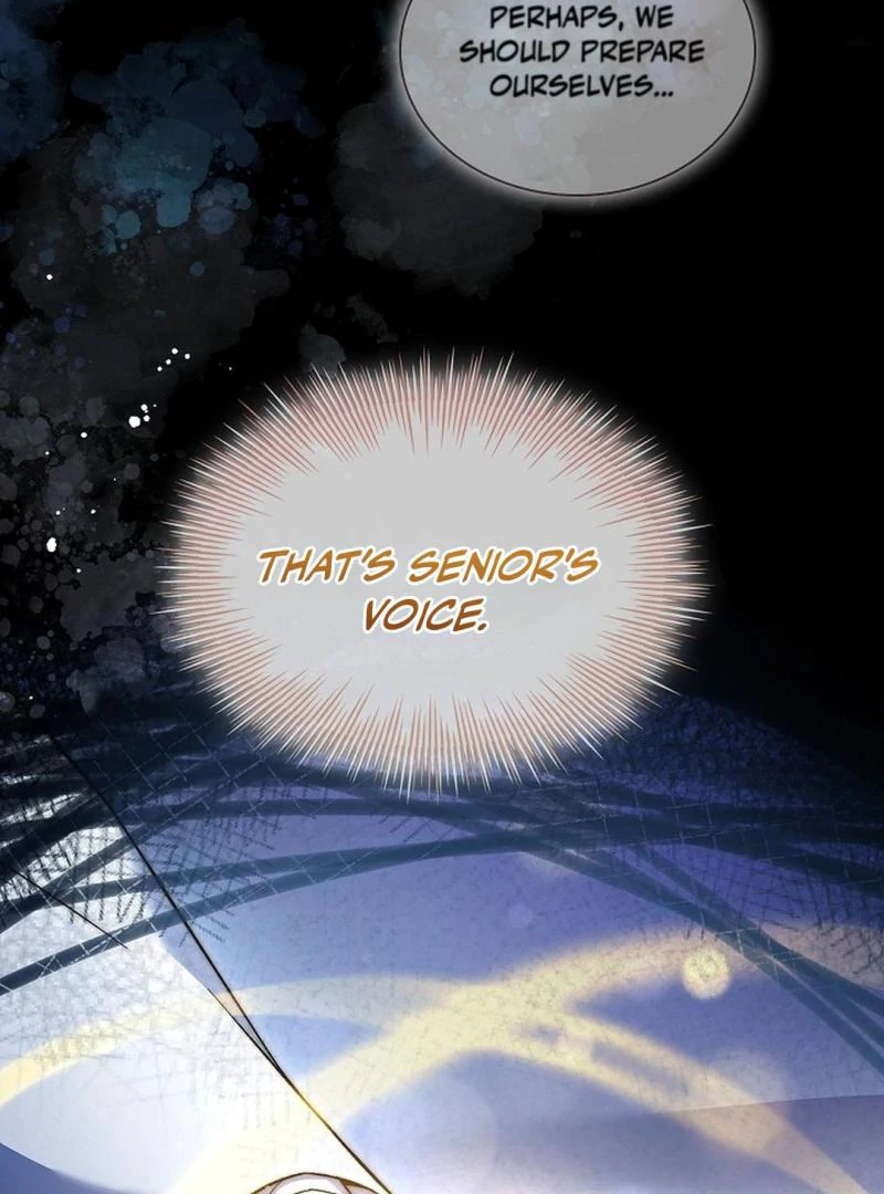 My Respected Senior Disciple Has Become a Villain ( PARADISE SCANS ) - Chapter 3 manhwa