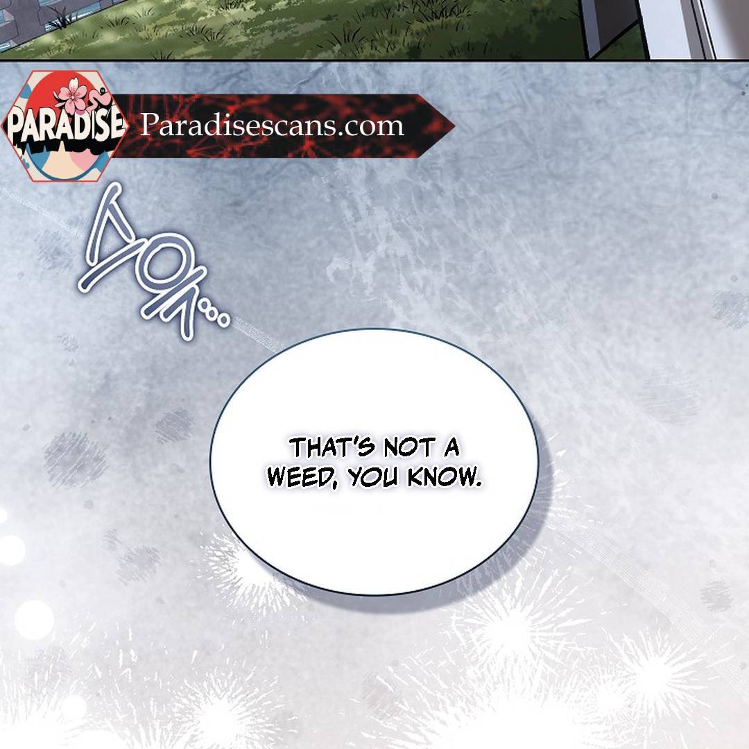 My Respected Senior Disciple Has Become a Villain ( PARADISE SCANS ) - Chapter 5 manhwa