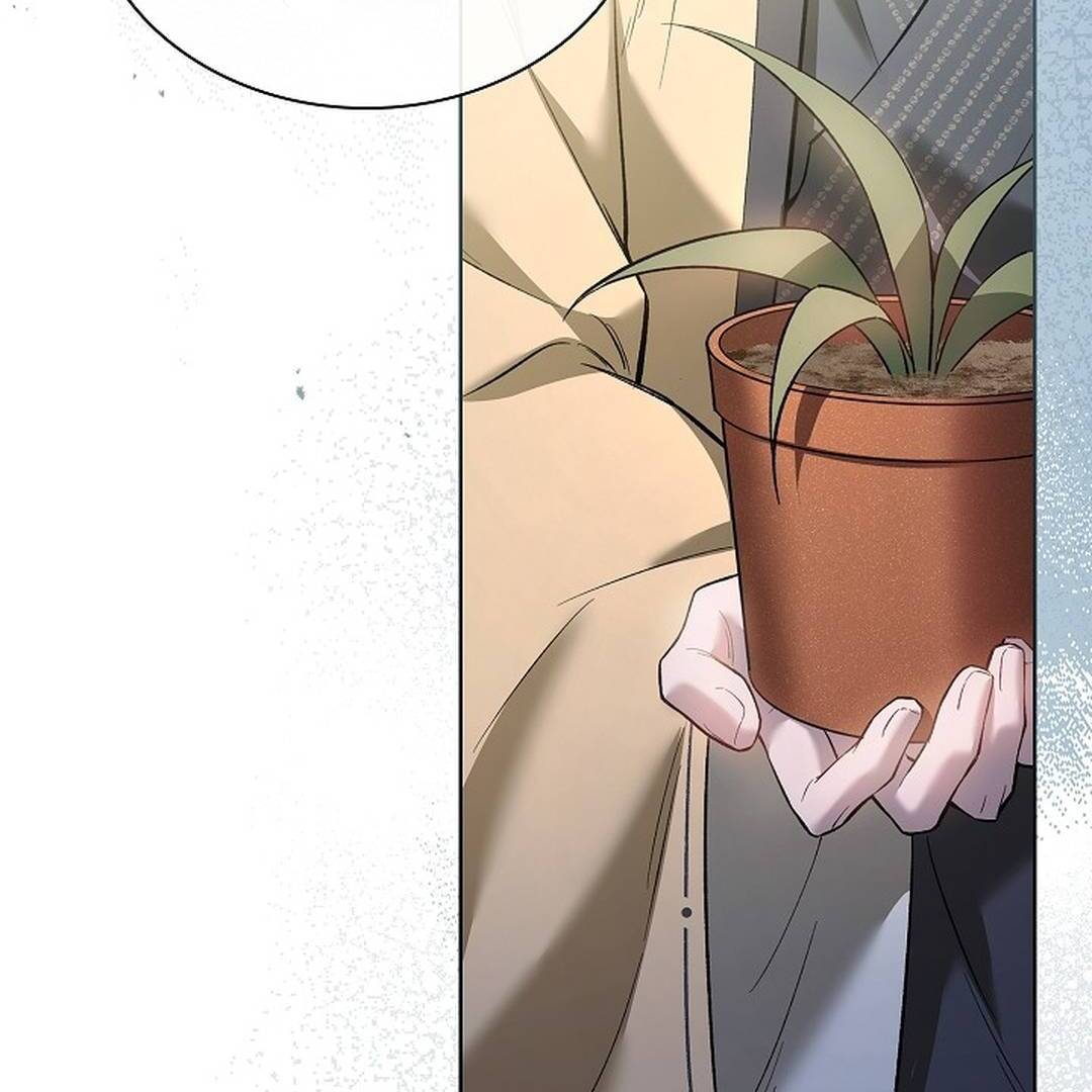 My Respected Senior Disciple Has Become a Villain ( PARADISE SCANS ) - Chapter 5 manhwa