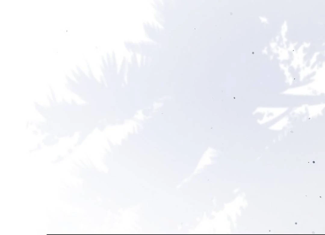My Respected Senior Disciple Has Become a Villain ( PARADISE SCANS ) - Chapter 5 manhwa