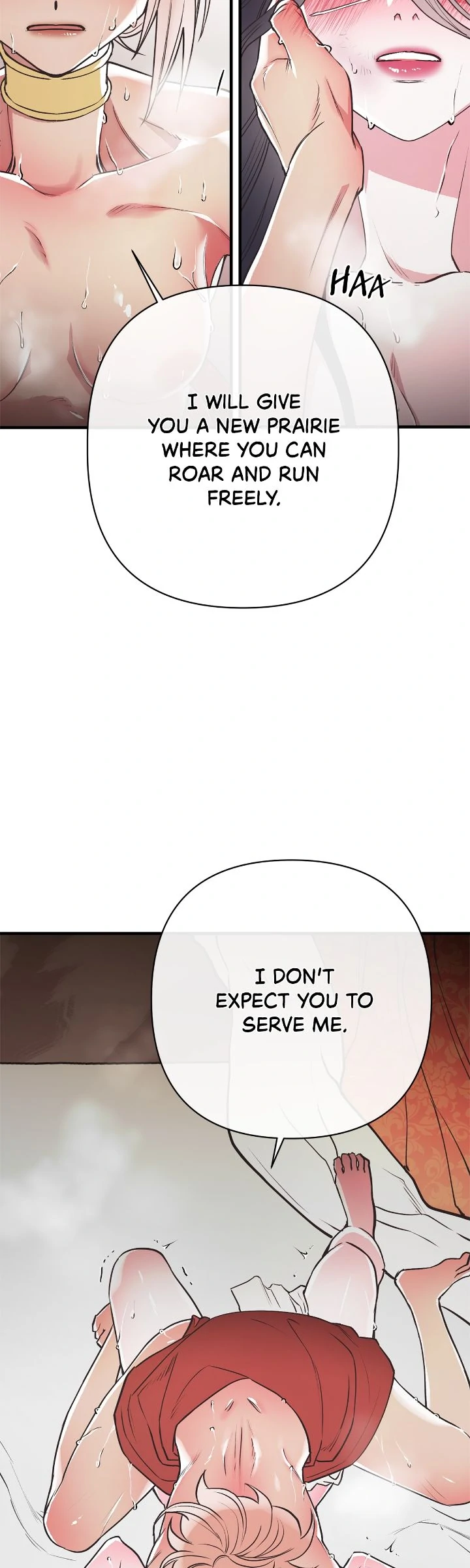 Ladies at Her Service: A Knight Addicted to Adult Novels (Mature Official) - Chapter 4 manhwa