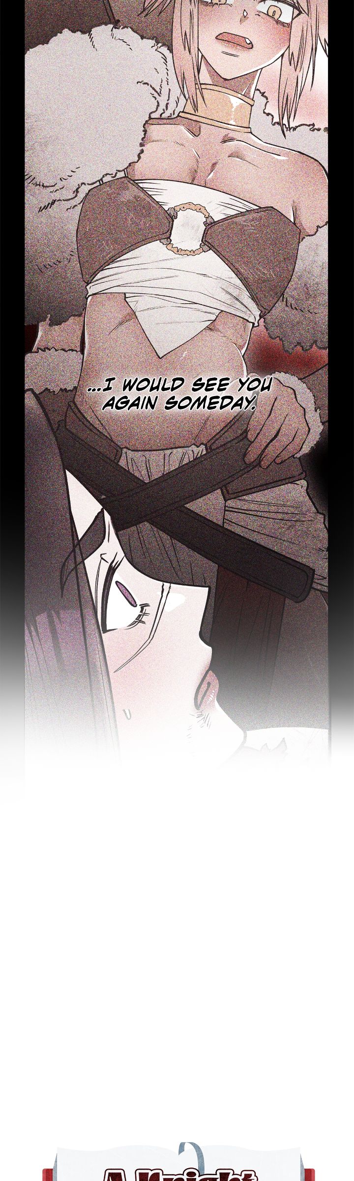 Ladies at Her Service: A Knight Addicted to Adult Novels (Mature Official) - Chapter 5 manhwa