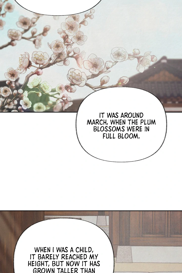 Reverse [Complete Edition]  [Kaizen Scan] - Chapter 1 manhwa