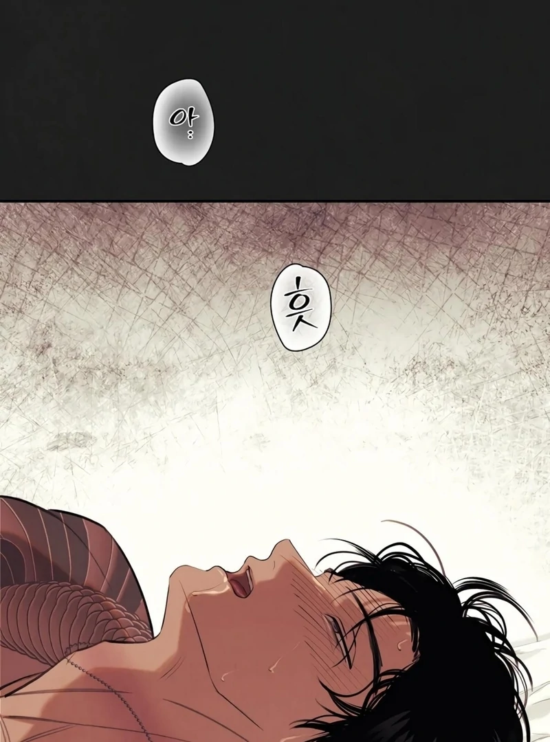 Noir of June ( PARADISE SCANS ) - Chapter 13 πππ¦ manhwa