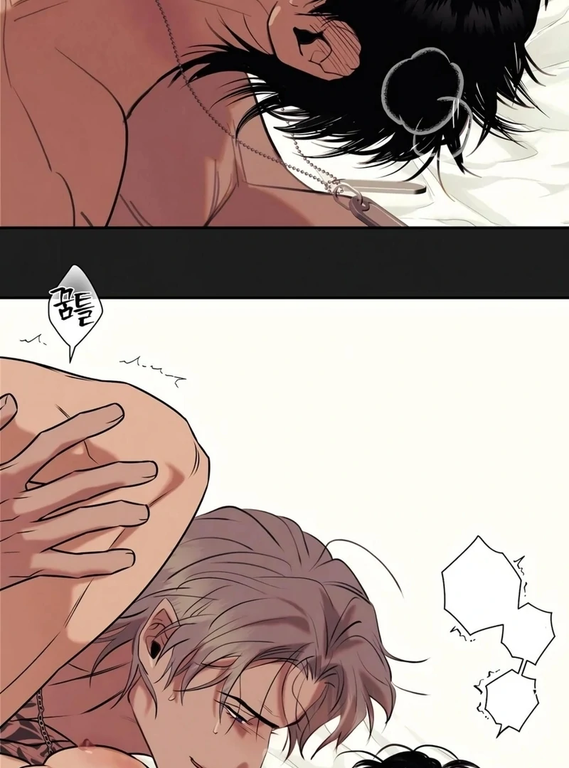 Noir of June ( PARADISE SCANS ) - Chapter 13 πππ¦ manhwa