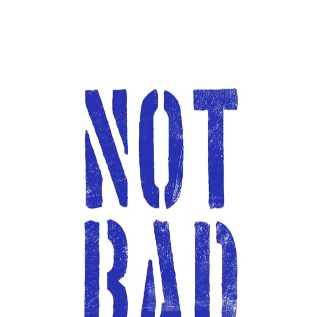 NOT BAD (paradise scans) - Chapter 5 manhwa