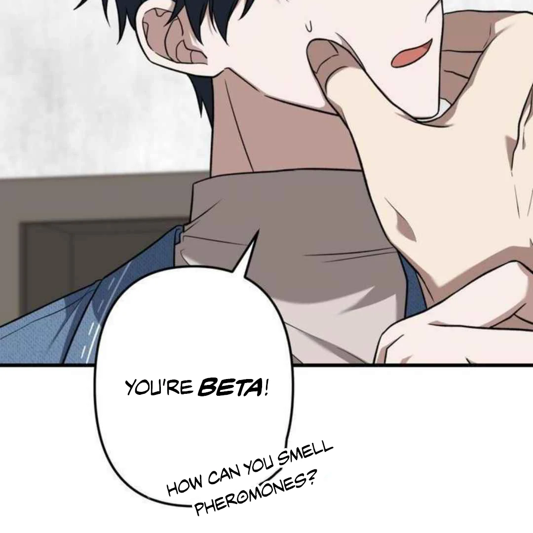 [Omegaverse Anthology] Matching! Alpha of the Universe - Chapter 4 manhwa