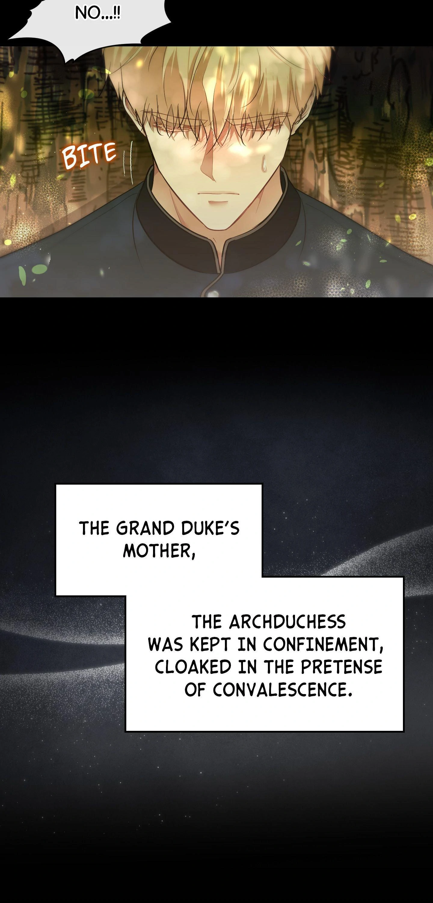 The Untouchable Duke (Official) - Side Story 1 manhwa
