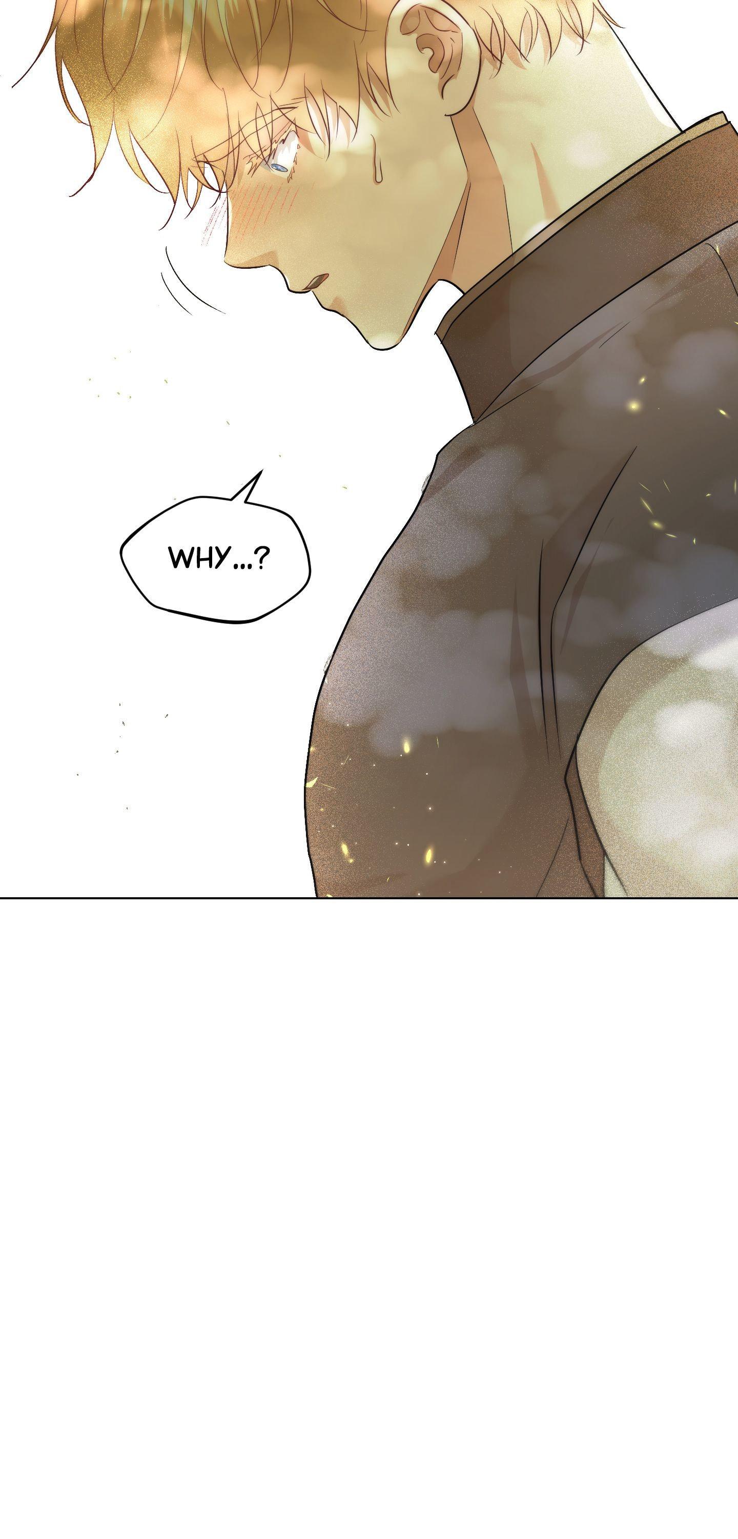 The Untouchable Duke (Official) - Side Story 1 manhwa