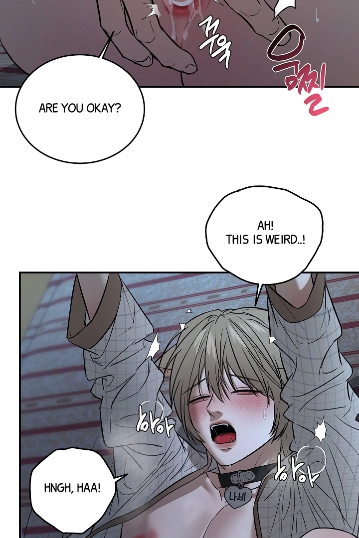 [Mr. Blue BL Short Stories] Lewd Invasion [Dindin] - Chapter 5 manhwa