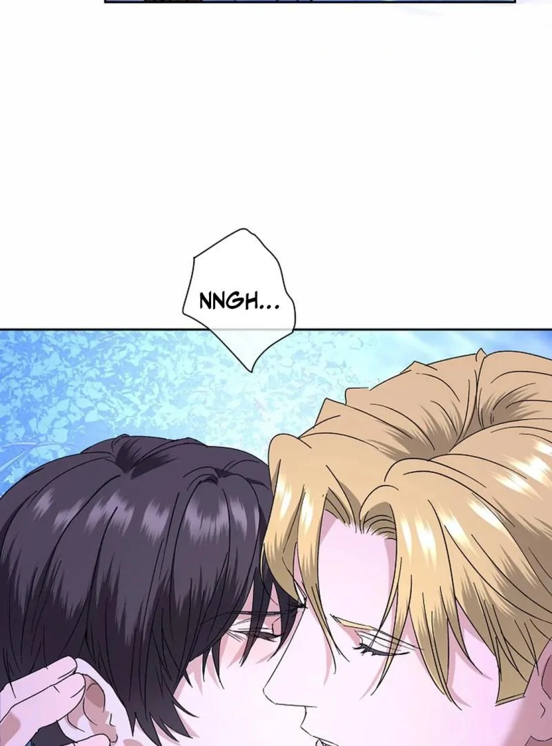 VESPER ( paradise scans ) - Chapter 5 manhwa