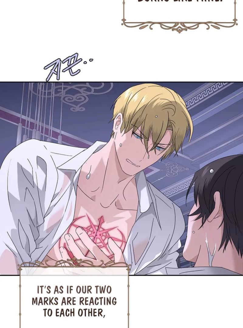 VESPER ( paradise scans ) - Chapter 7 🔞 manhwa