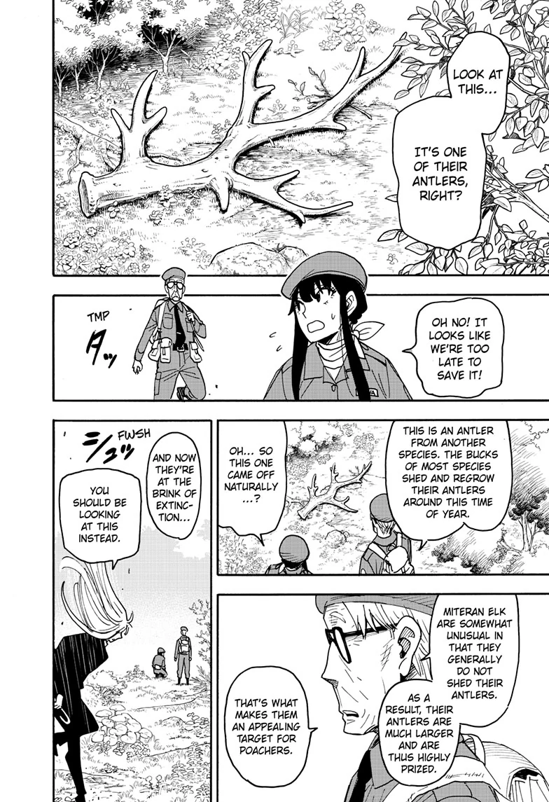 SPY x FAMILY (Official) - Chapter 116 manhwa