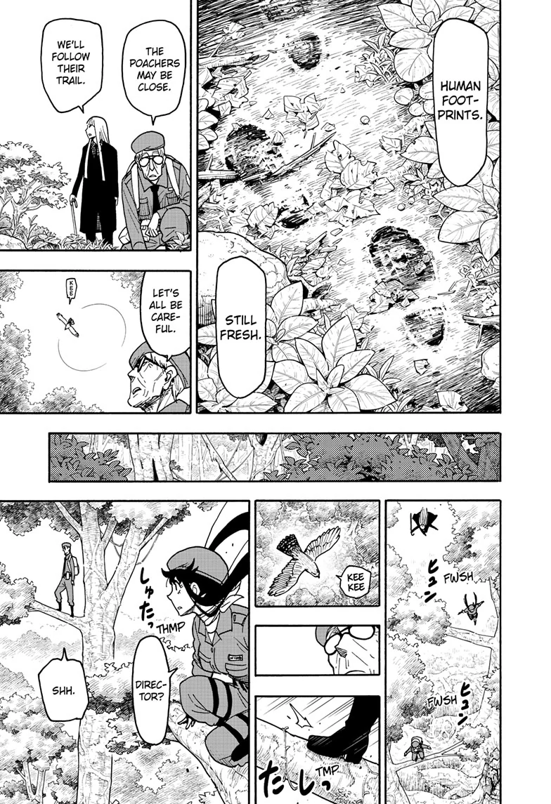 SPY x FAMILY (Official) - Chapter 116 manhwa