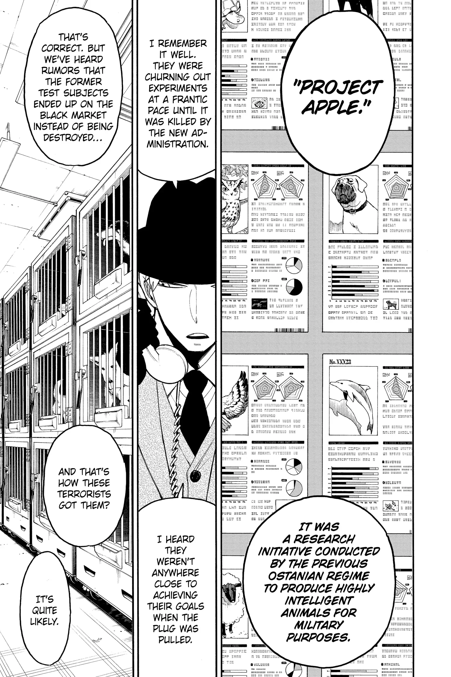 SPY x FAMILY (Official) - Volume 4 Chapter 19 manhwa