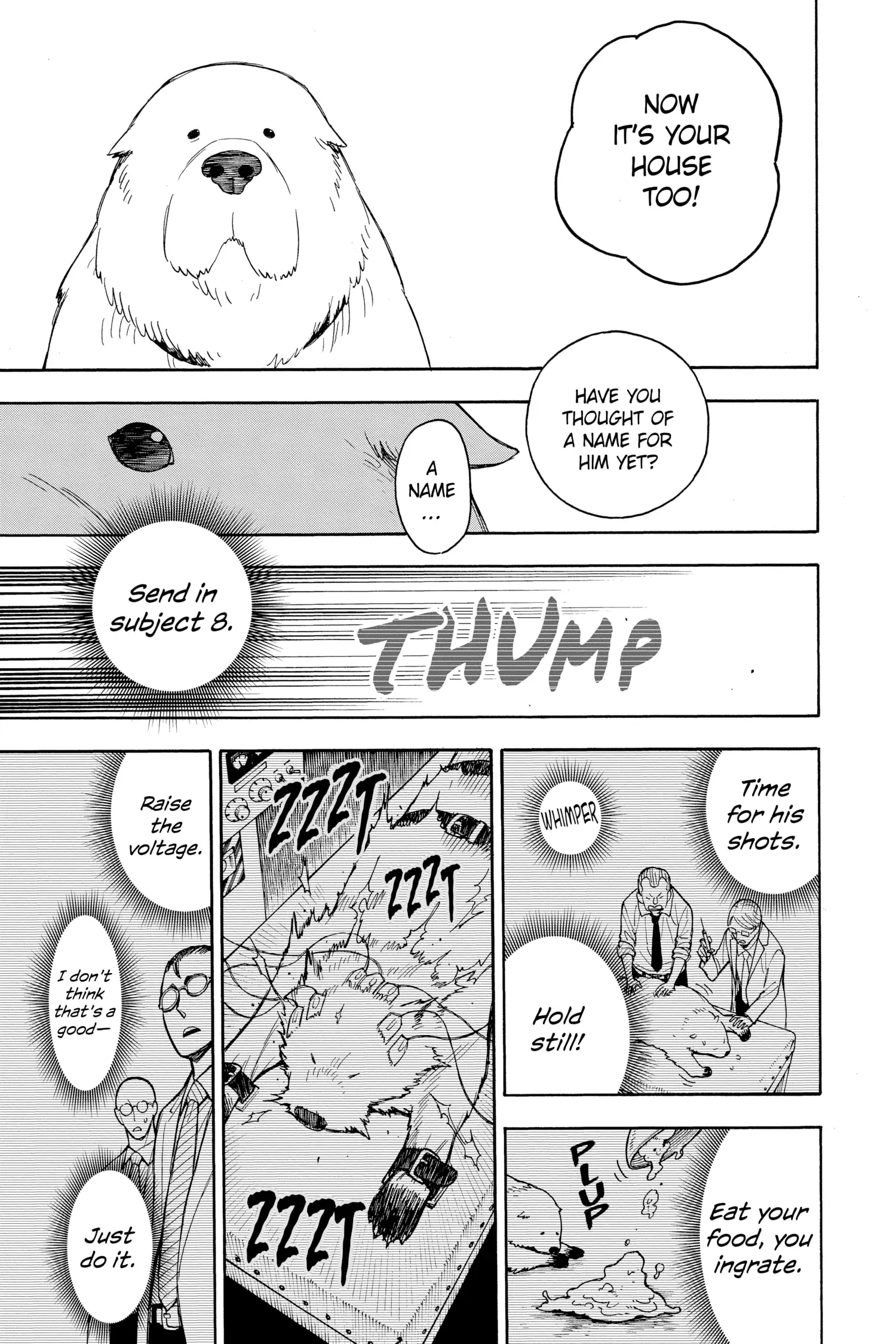 SPY x FAMILY (Official) - Volume 4 Chapter 22 manhwa
