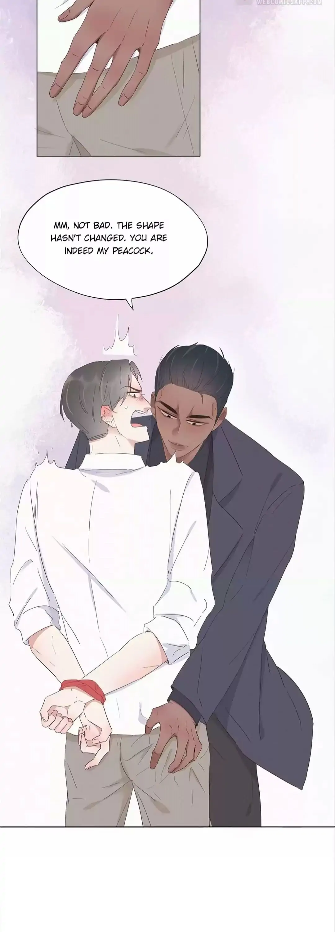 Counterattack Through Pregnancy (Official) - Chapter 12 manhwa