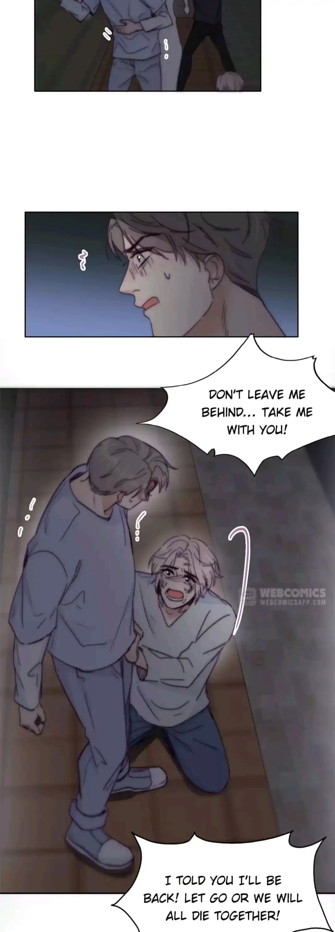 Counterattack Through Pregnancy (Official) - Chapter 142 manhwa