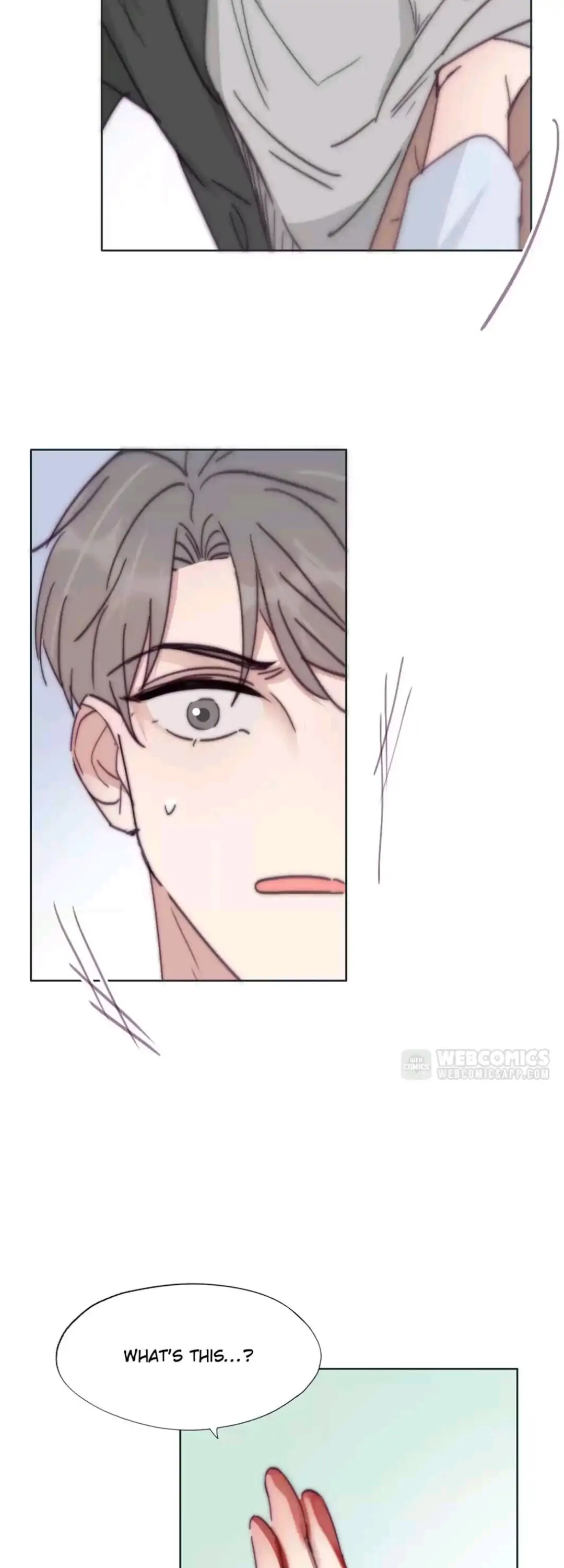 Counterattack Through Pregnancy (Official) - Chapter 144 manhwa