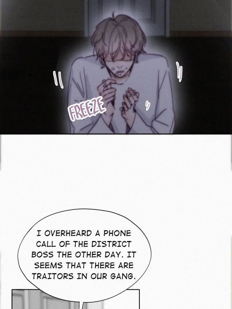 Counterattack Through Pregnancy (Official) - Chapter 147 manhwa