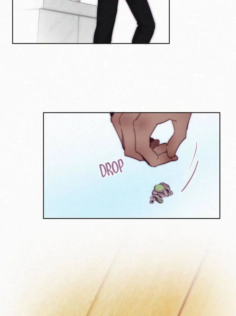 Counterattack Through Pregnancy (Official) - Chapter 149 manhwa