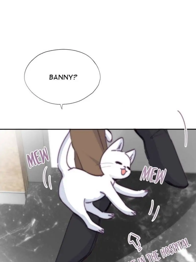 Counterattack Through Pregnancy (Official) - Chapter 156 manhwa