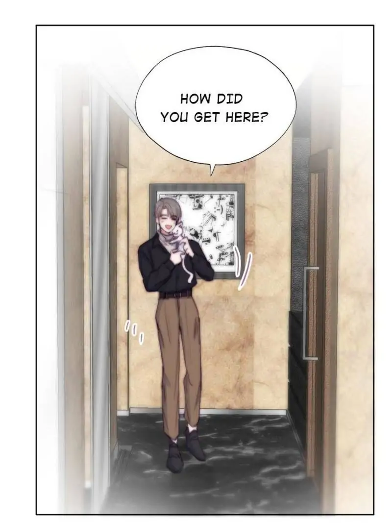 Counterattack Through Pregnancy (Official) - Chapter 156 manhwa