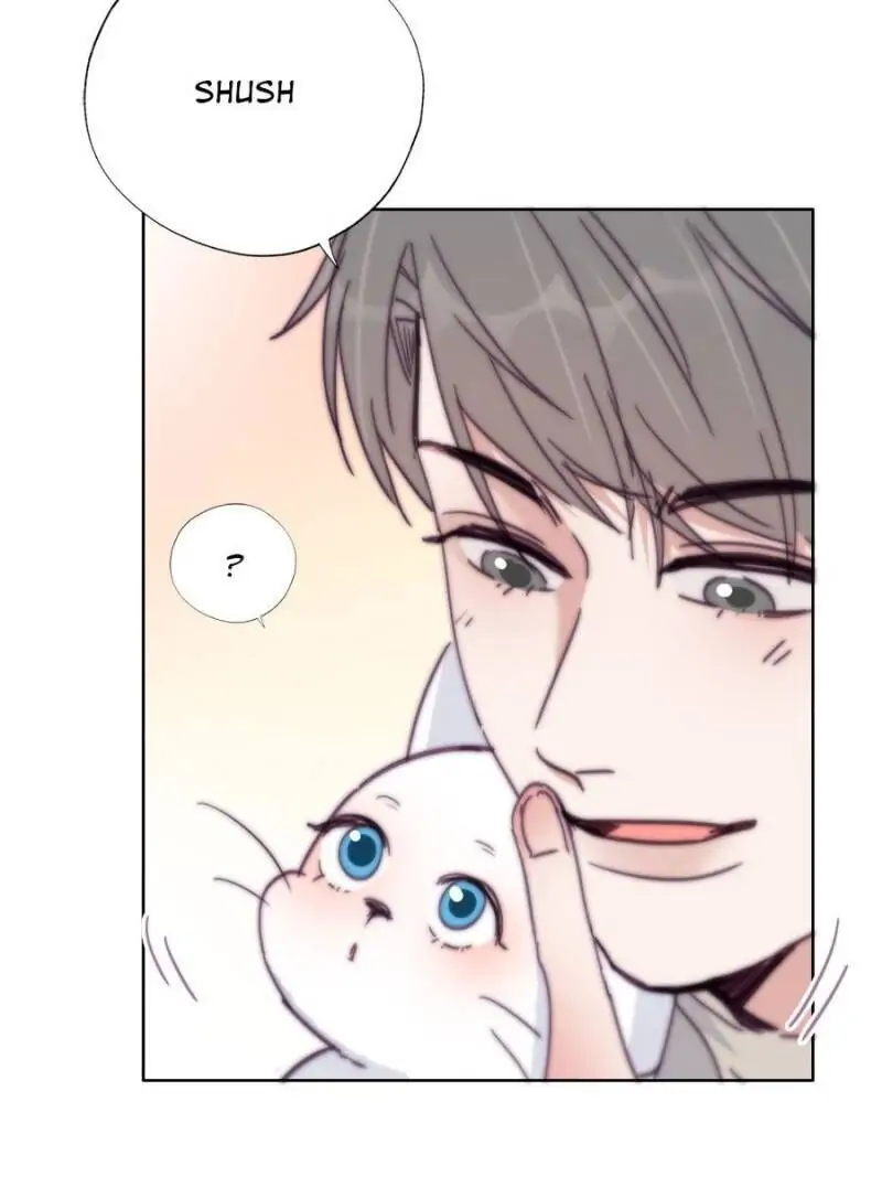 Counterattack Through Pregnancy (Official) - Chapter 156 manhwa