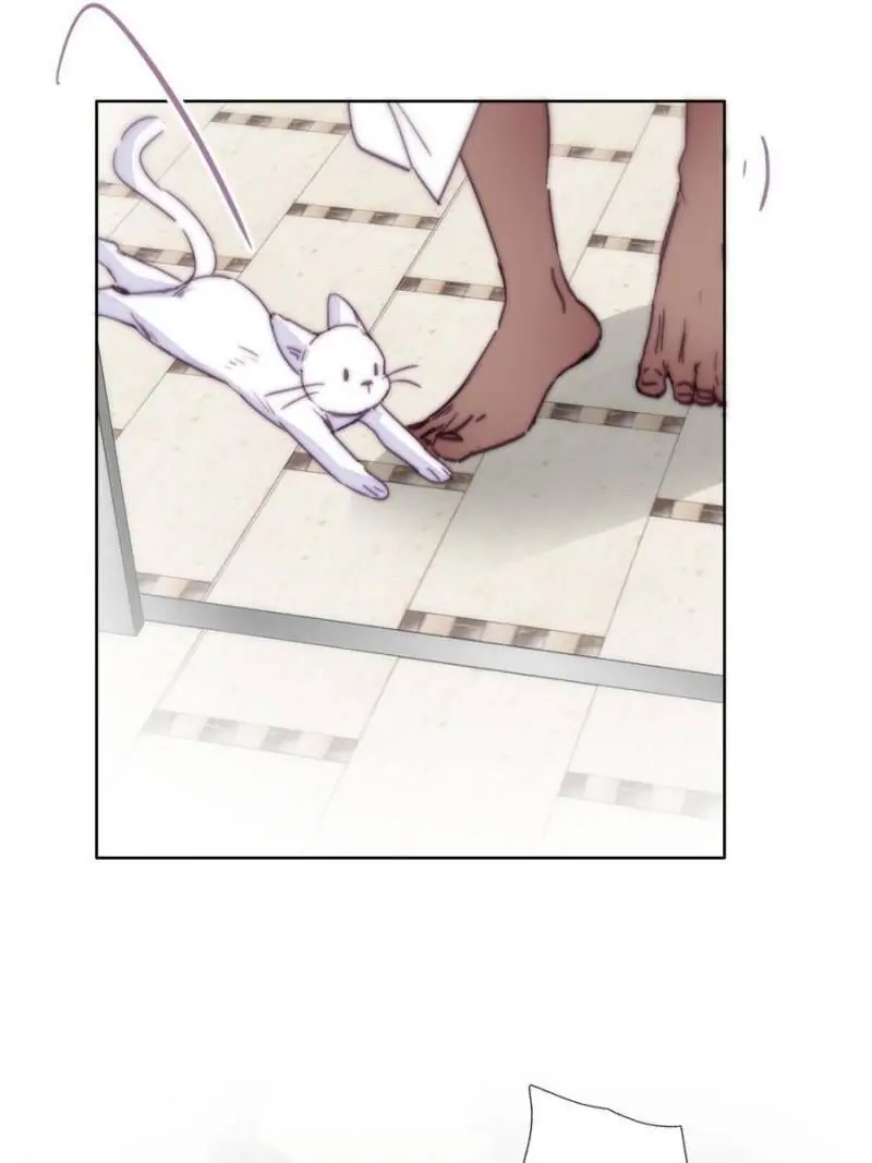 Counterattack Through Pregnancy (Official) - Chapter 158 manhwa