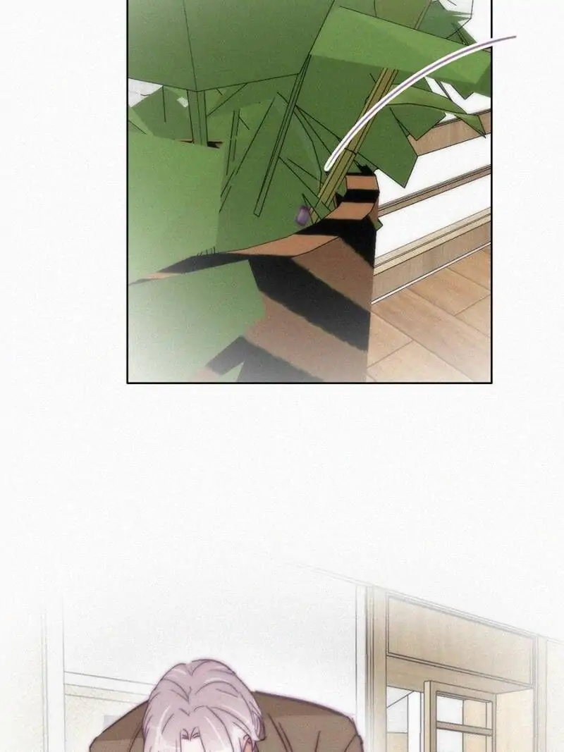 Counterattack Through Pregnancy (Official) - Chapter 164 manhwa