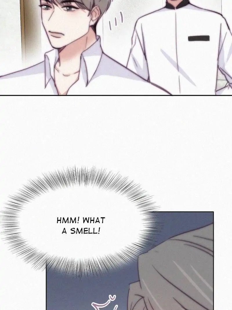 Counterattack Through Pregnancy (Official) - Chapter 164 manhwa