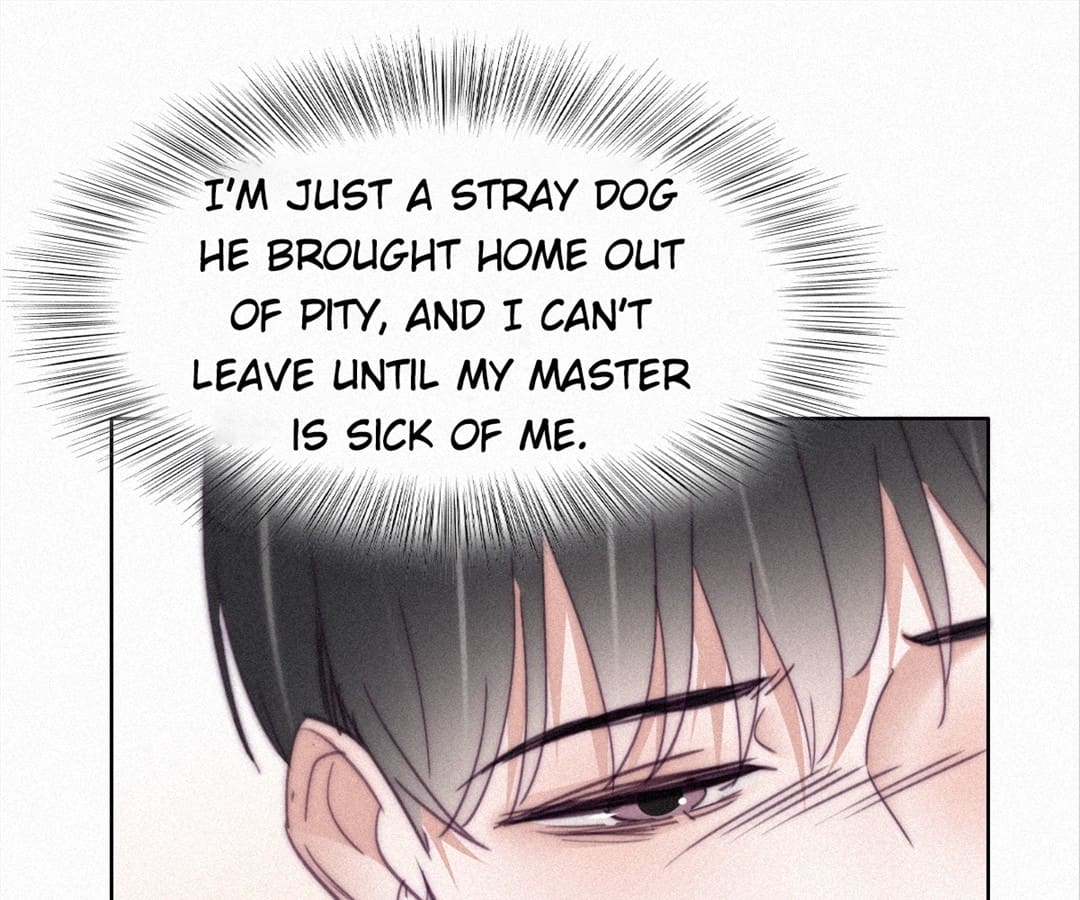 Counterattack Through Pregnancy (Official) - Chapter 203 manhwa