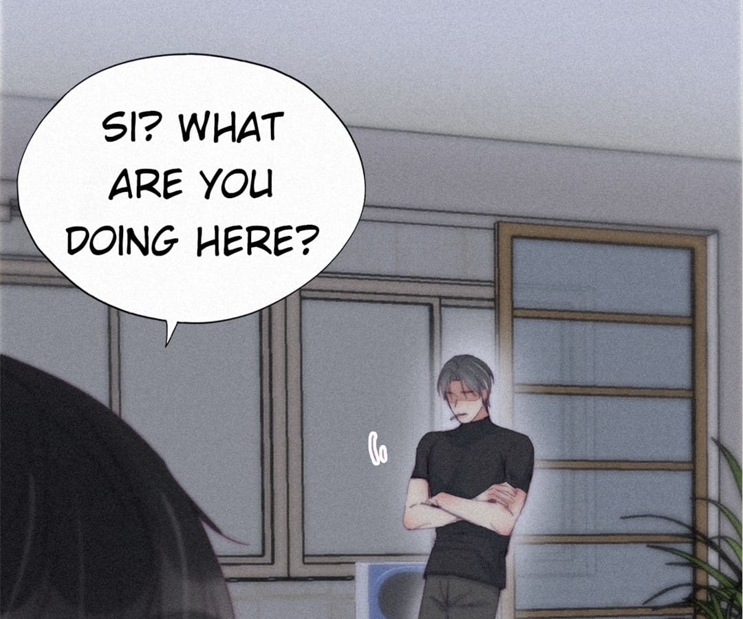 Counterattack Through Pregnancy (Official) - Chapter 204 manhwa